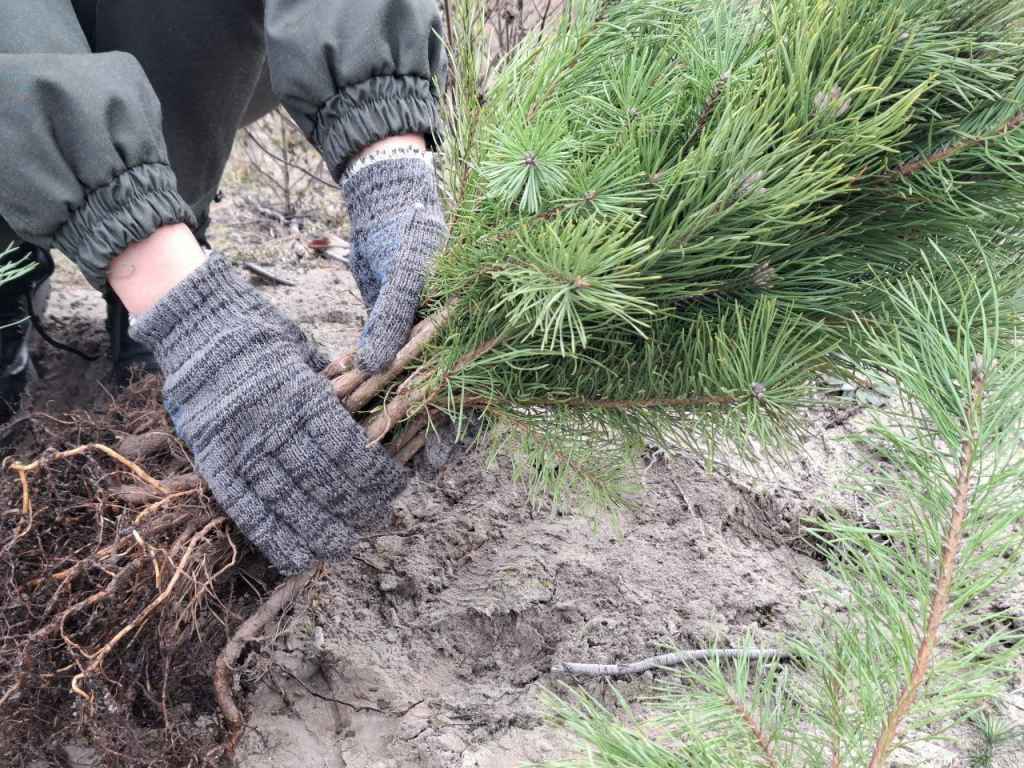 photo_2024-10-25_08-25-35 (2).jpg