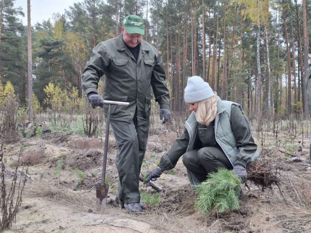 photo_2024-10-25_08-25-33 (2).jpg