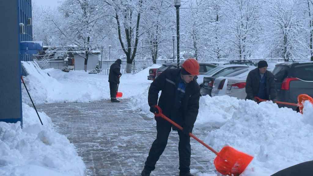 photo_2026-01-29_10-15-35 (10).jpg