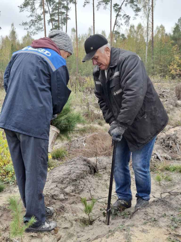 photo_2024-10-25_08-25-34 (2).jpg