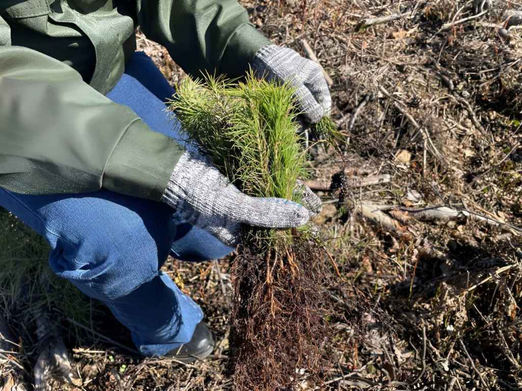 photo_2025-03-28_19-12-36 (3).jpg