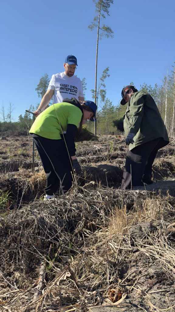 photo_2025-03-28_19-12-37 (2).jpg