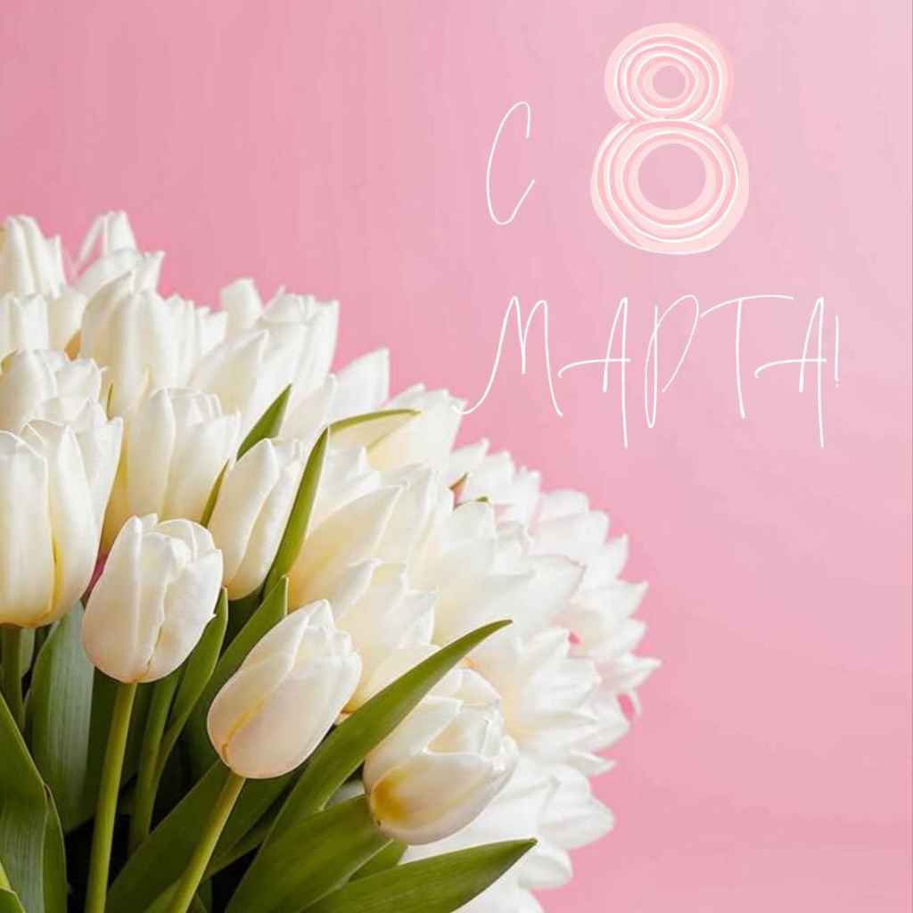 photo_2025-03-08_07-14-46 (2).jpg