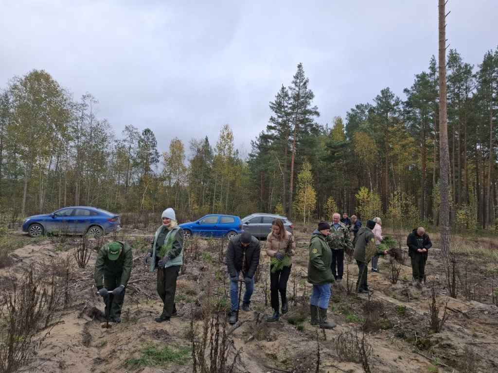 photo_2024-10-25_08-25-36 (2).jpg